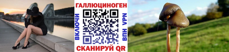 продажа наркотиков  Пересвет  Псилоцибиновые грибы Psilocybe 
